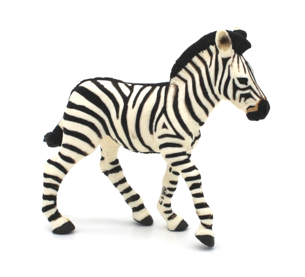 Zebra rechte Seitenansicht